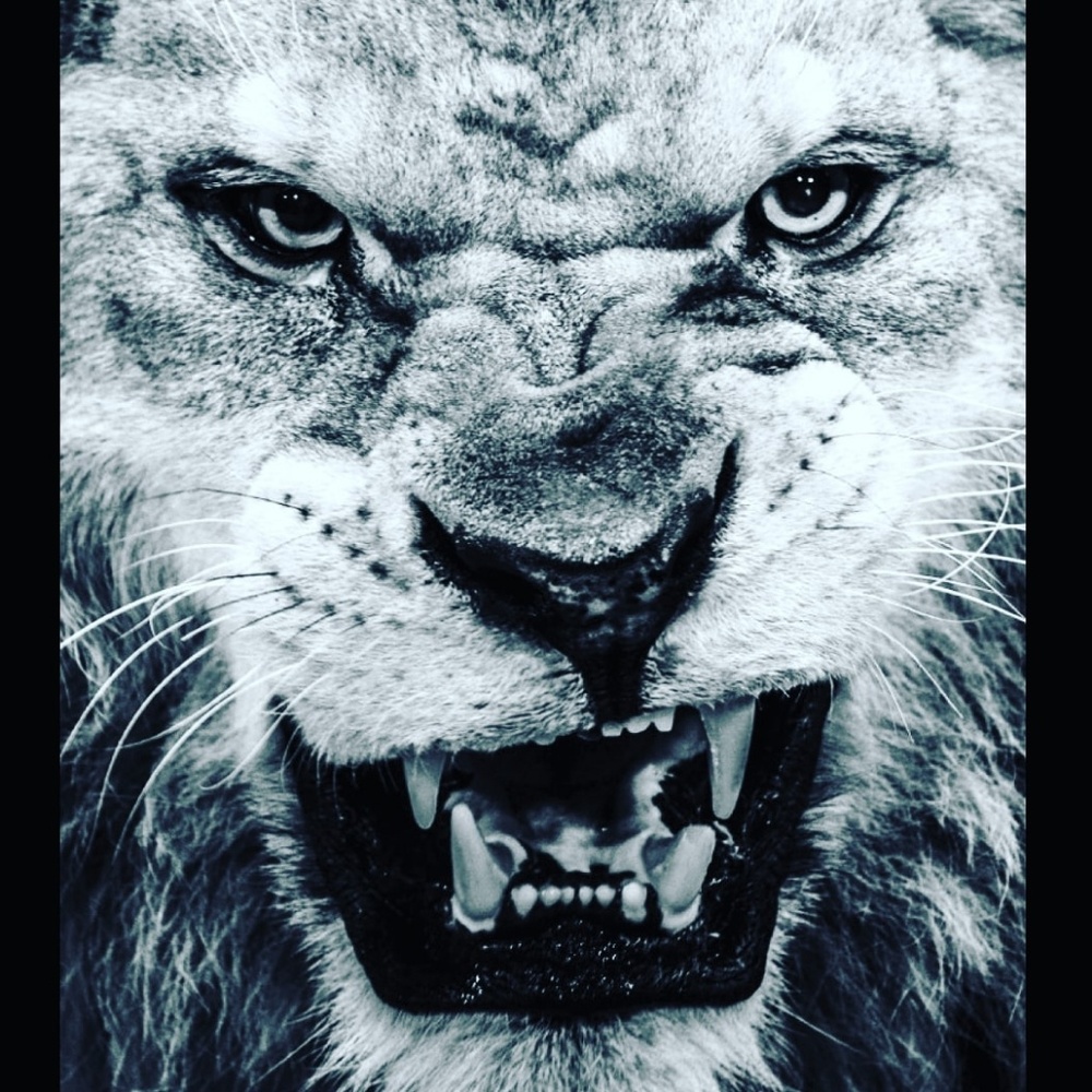 Meet your Posher, Jaylu